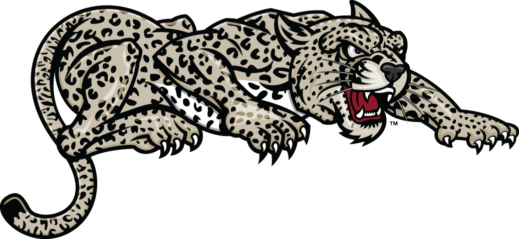 Lafayette Leopards 2000-Pres Partial Logo v2 iron on transfers for fabric